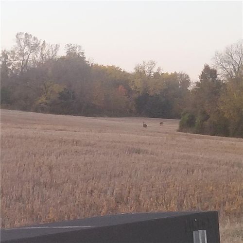13-Acres E 315th St, Drexel, MO, 64742-7272 | Card Image