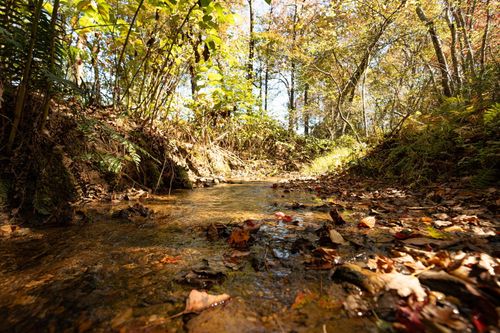 227 Mcallister Dr, Copperhill, TN, 37317-6225 | Card Image