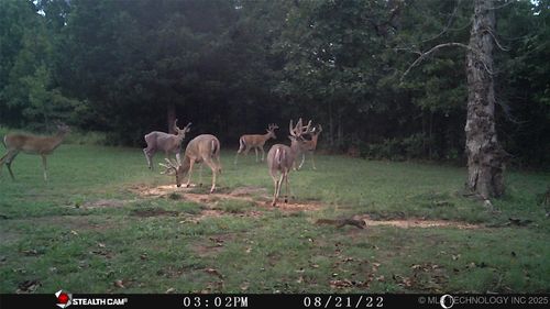 10668 S 369th Avenue, Mannford, OK, 74044 | Card Image