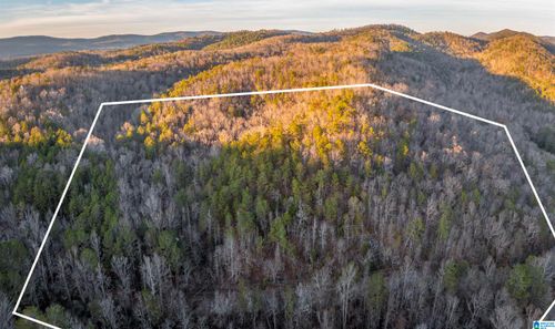 0-1004 Rabbittown Rd, Piedmont, AL, 36272-7828 | Card Image