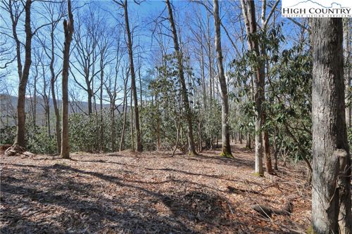 Lots 47 & 48 Abaco Drive, Vilas, NC, 28692 | Card Image
