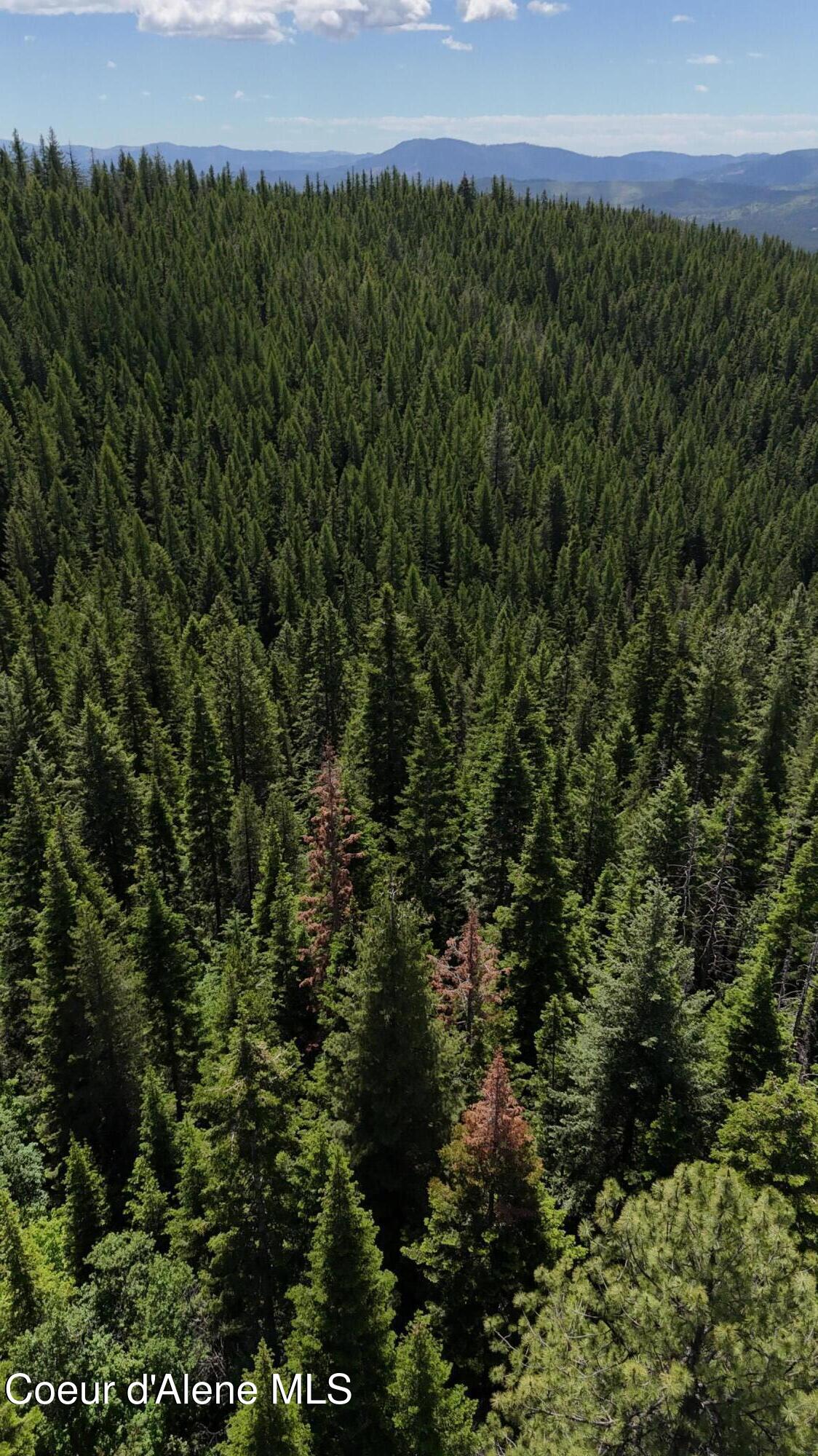 Land in Fernwood 5