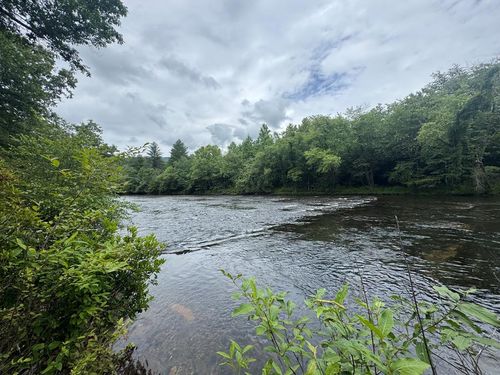 5531 Fires Creek Road, Hayesville, NC, 28904 | Card Image