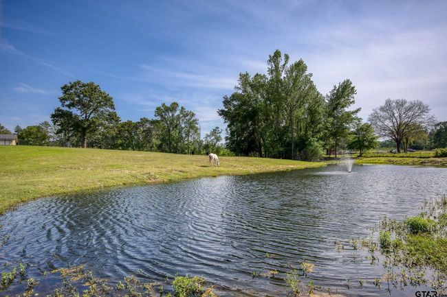 3662 An County Road 359, Home with 3 bedrooms, 3 bathrooms and null parking in Palestine TX | Image 30