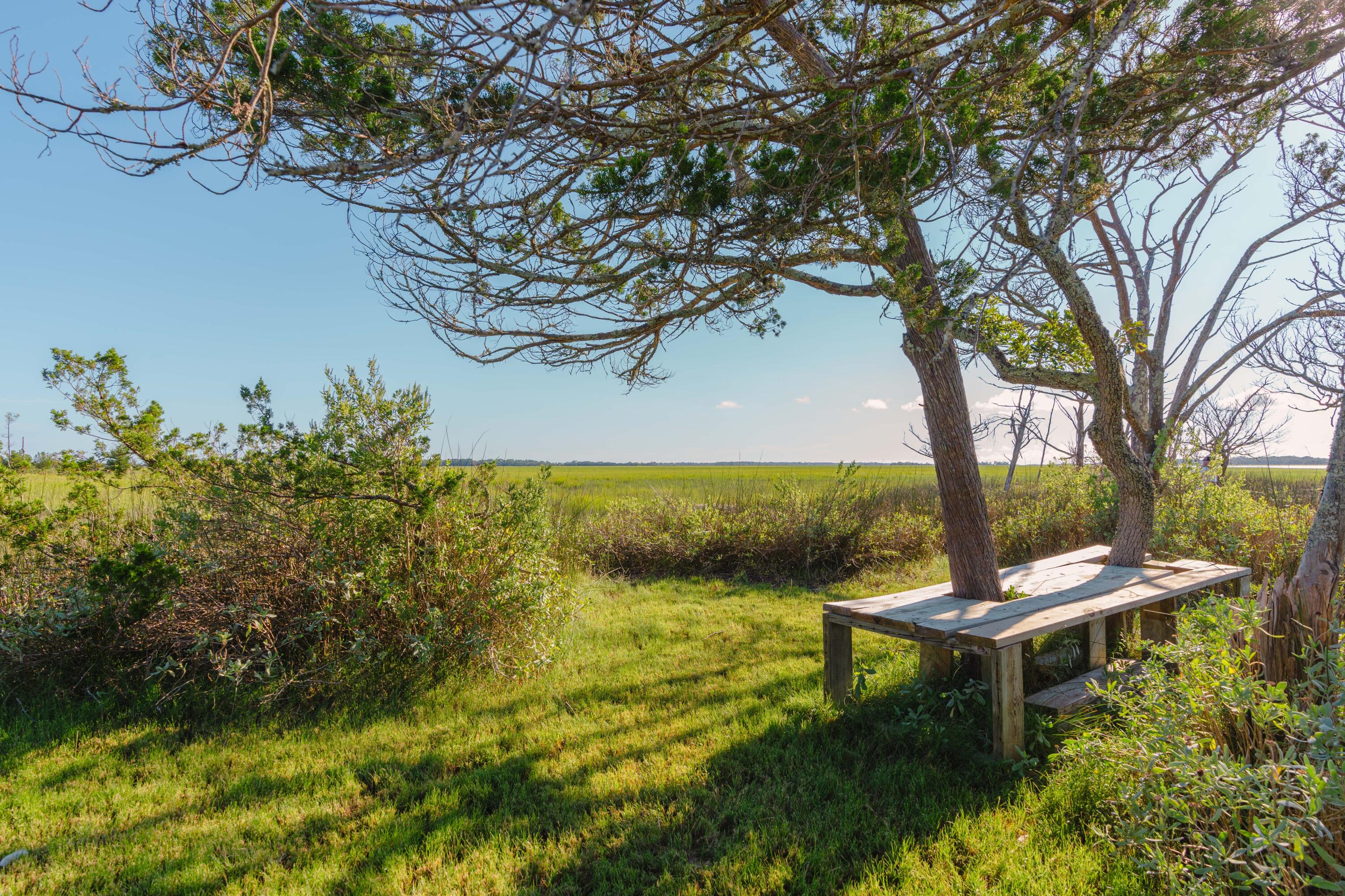 Land in Charleston 3