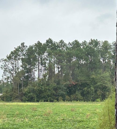 00 S Church St, Homerville, GA, 31634 | Card Image