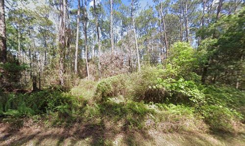 418 Palm Way, Georgetown, FL, 32139-2748 | Card Image