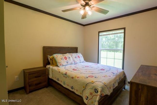 123 Yates Rd Magee-5 | Image 5