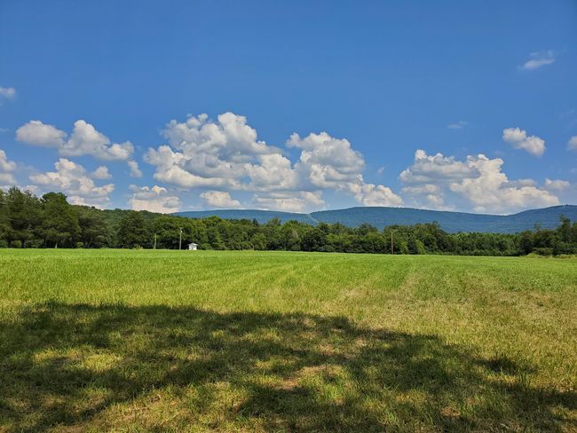 61243 Stone Cave Loop, Home with 0 bedrooms, 0 bathrooms and null parking in Dunlap TN | Image 33
