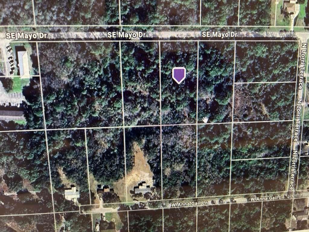 Land in CRYSTAL RIVER 4