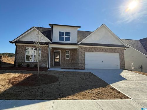 6624 Little Goose Drive, TRUSSVILLE, AL, 35173 | Card Image