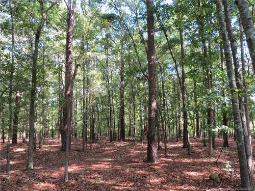 0 Rocky Fork Church Rd, Sanford, NC, 27332 | Card Image