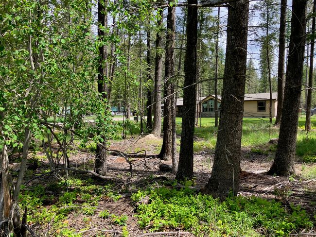 120 Bothman Dr, House other with 3 bedrooms, 2 bathrooms and null parking in Libby MT | Image 47
