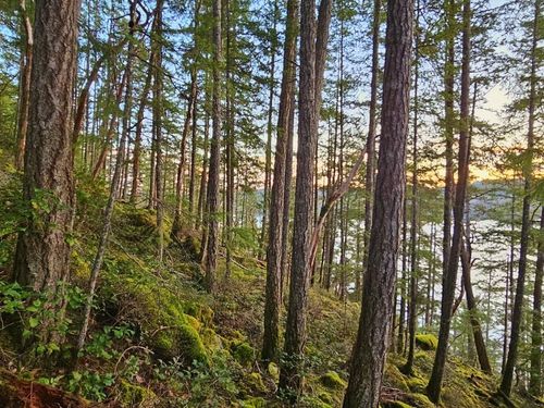 Lot 108 Seaview Road, Sechelt, BC, V0N3A4 | Card Image