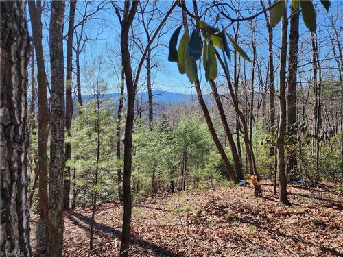 000 Mountain Vista Dr, Mc Grady, NC, 28649 | Card Image
