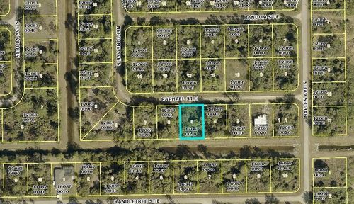 1238 Raphael St E, Lehigh Acres, FL, 33974 | Card Image