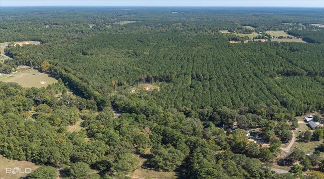 Bird's eye view | Image 16