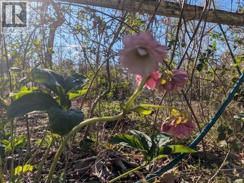 4649 Cedar St, Gillies Bay, BC, V0N1W0 | Card Image