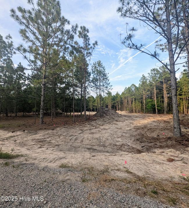 110 Lighterknot Ln, House other with 4 bedrooms, 5 bathrooms and 3 parking in West End NC | Image 17