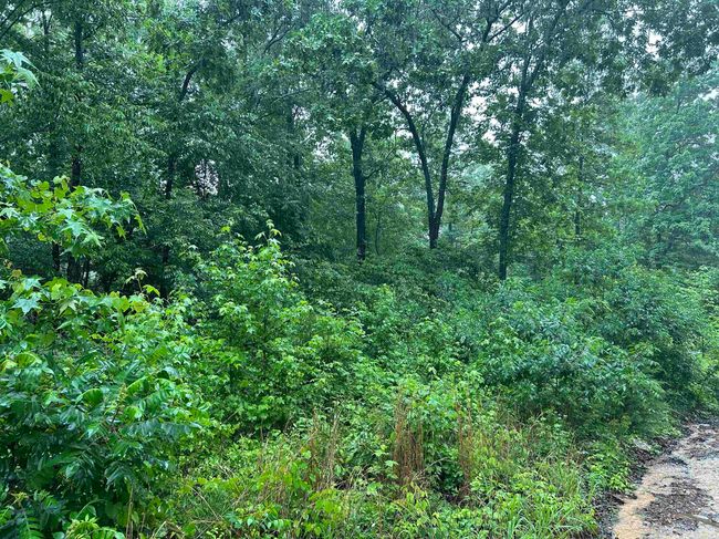 000 End Line Rd, Home with 0 bedrooms, 0 bathrooms and null parking in Marshall AR | Image 4