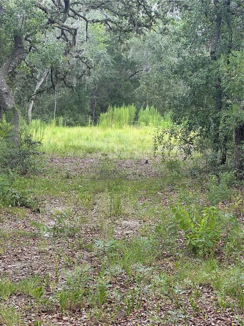 5730 Se County Road 337, Morriston, FL, 32668-3558 | Card Image
