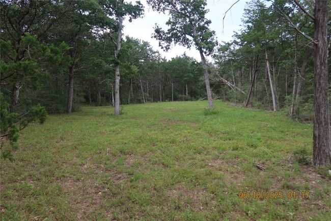 1584 Dungens Mill Rd, Home with 0 bedrooms, 0 bathrooms and null parking in Columbus TX | Image 10