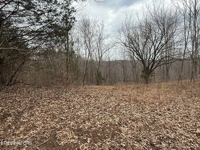 649 Garrett Town Ln, Home with 0 bedrooms, 0 bathrooms and null parking in Monroe TN | Image 12