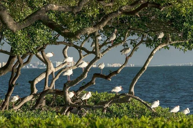 78 Tidy Island Blvd, Condo with 5 bedrooms, 5 bathrooms and null parking in BRADENTON FL | Image 97