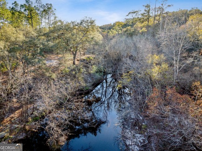 0 Highway 185, Home with 0 bedrooms, 0 bathrooms and null parking in Saint George GA | Image 12