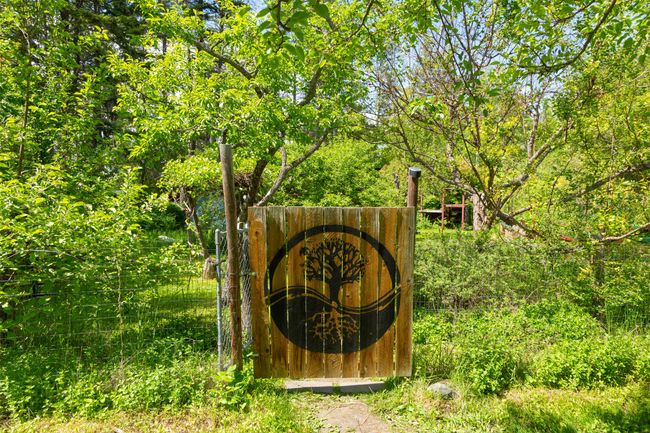Garden gate | Image 39