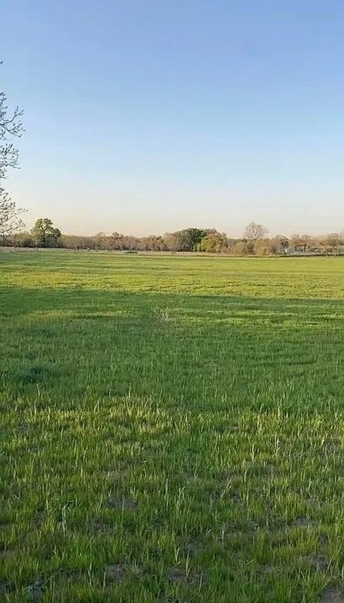 Lot 1 County Road 3424, Bridgeport, TX, 76426 | Card Image