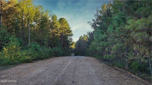 1 Falcon View Rd, Cedar Grove, TN, 38321 | Card Image