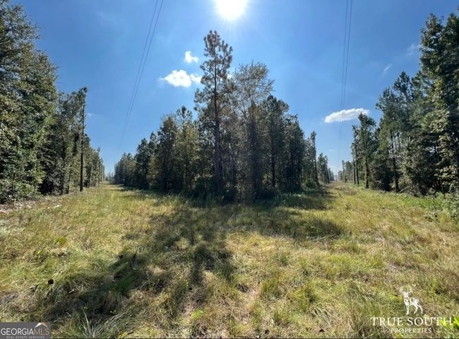 0 John S Horton Rd, Home with 0 bedrooms, 0 bathrooms and null parking in Adrian GA | Image 19