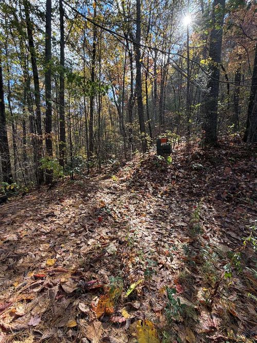 47/48 Little Secret Ln, Murphy, NC, 28906 | Card Image