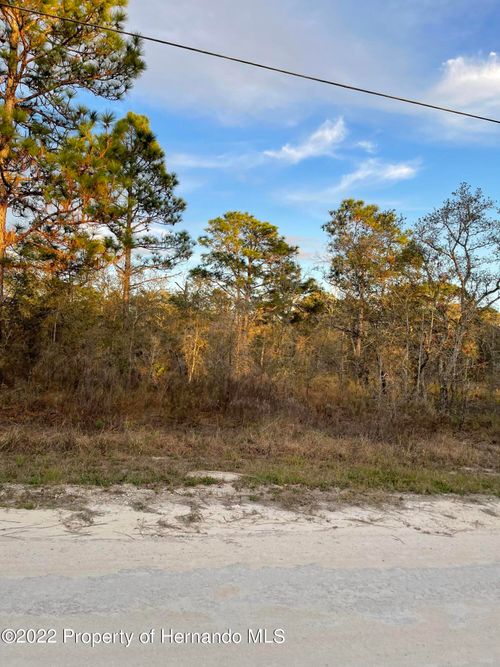 0 Everglades Kite Road, WEEKI WACHEE, FL, 34614 | Card Image