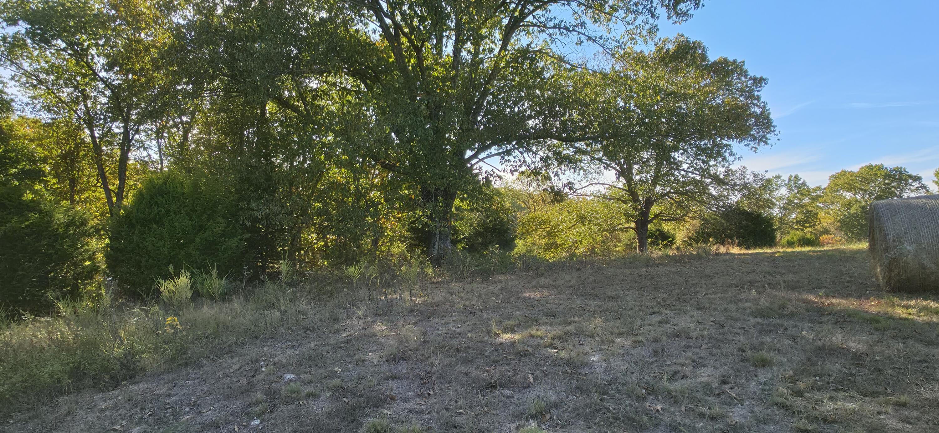 Land in Nixa 4