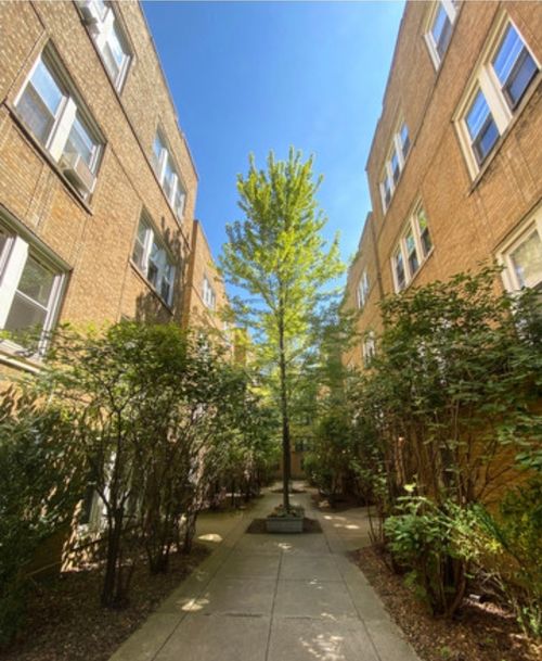 apt-2n-679 Wrightwood Ave, Chicago, IL, 60614-2523 | Card Image