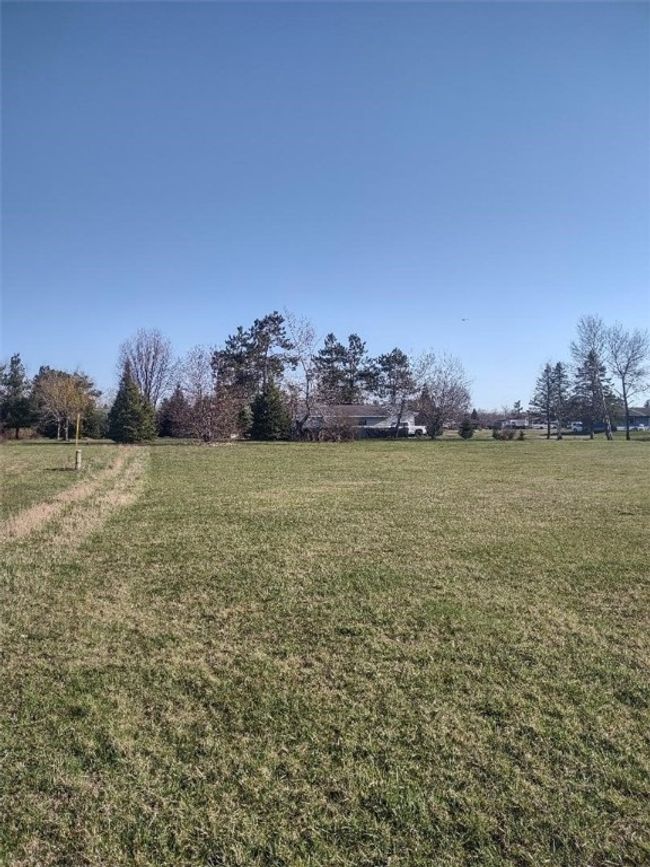 West property line looking north | Image 6
