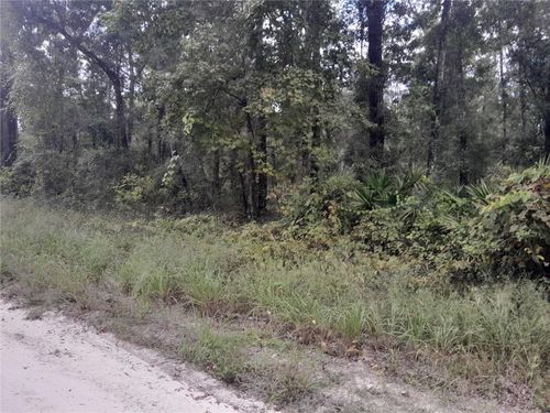 TBD Ne 292nd Ave, OLD TOWN, FL, 32680 | Card Image