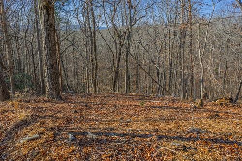 Lot 40 Timberwalk Dr, Ellijay, GA, 30540-3535 | Card Image