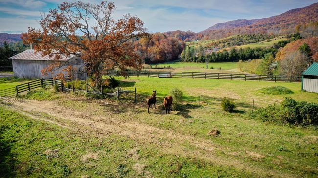 18325 Horton Hwy, House other with 5 bedrooms, 8 bathrooms and null parking in Fall Branch TN | Image 52