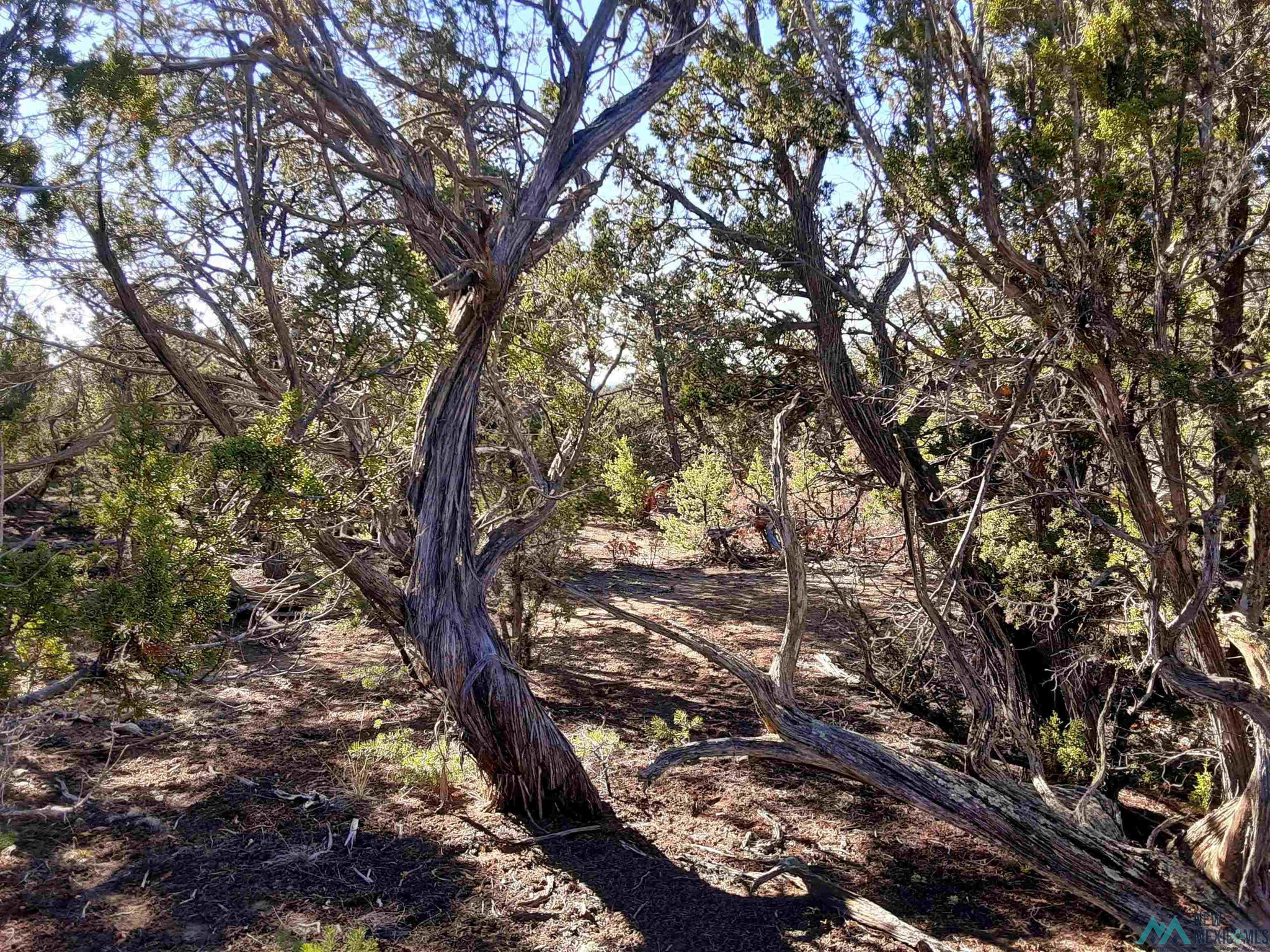 Land in Pinehill 4