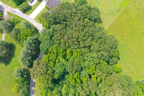 0 Major Wallace Rd Spur, Cadiz, KY, 42211 | Card Image