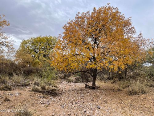 --12 Acres E Camino Verde, Pearce, AZ, 85625 | Card Image