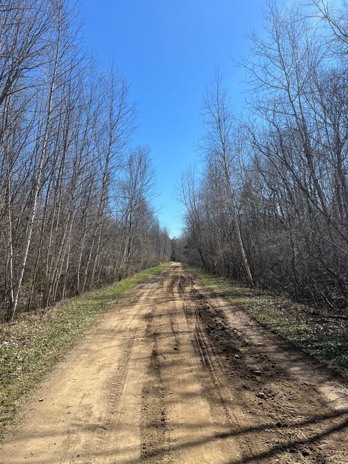 0 Chippewa Trl, Cass City, MI, 48726 | Card Image