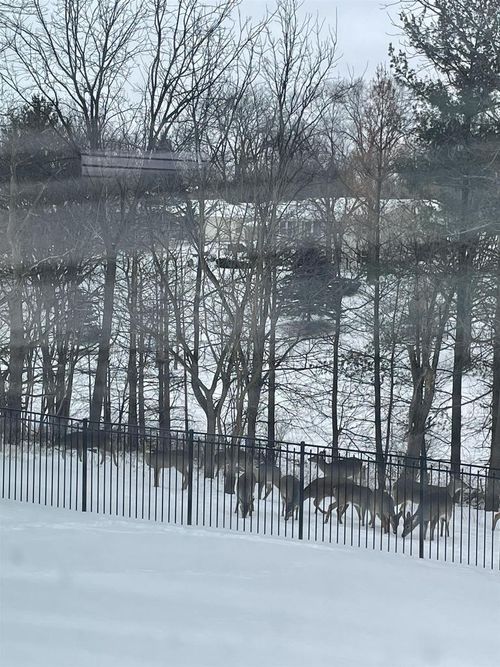 4228 Park View Dr, Janesville, WI, 53546-2146 | Card Image