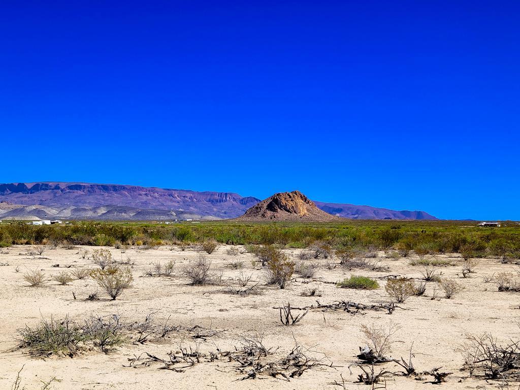 Land in Terlingua 2