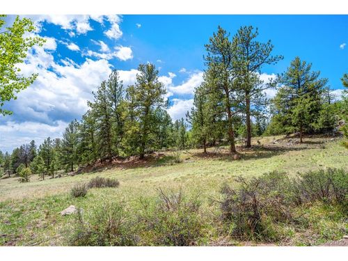 527 Plateau Dr, Guffey, CO, 80820 | Card Image