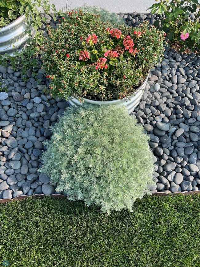 Landscaping | Image 47