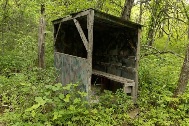 hunting blind | Image 16